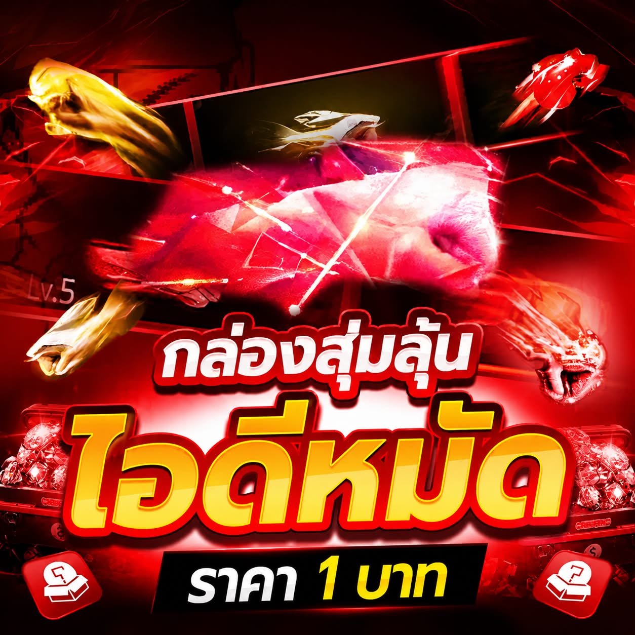 การันตีหมัด